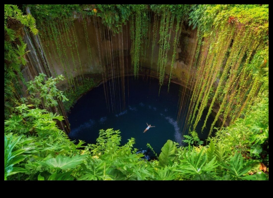 جنة الجيب: واحتك لمناطق الجذب المحلية القريبة