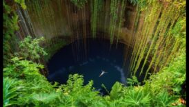 جنة الجيب: واحتك لمناطق الجذب المحلية القريبة