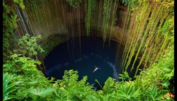 جنة الجيب: واحتك لمناطق الجذب المحلية القريبة