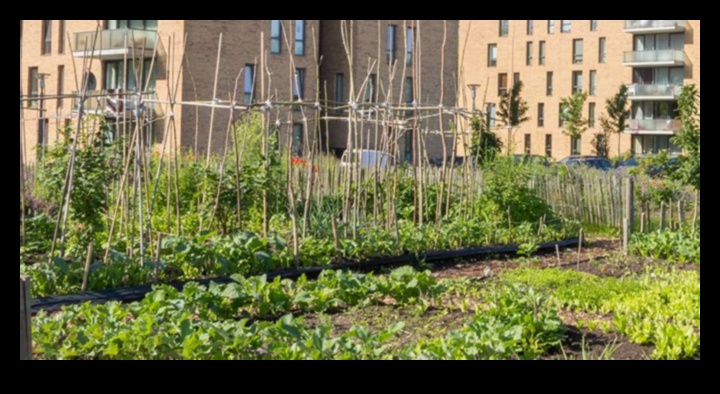 الخضر الخرسانية: كشف النقاب عن سحر البستنة الحضرية