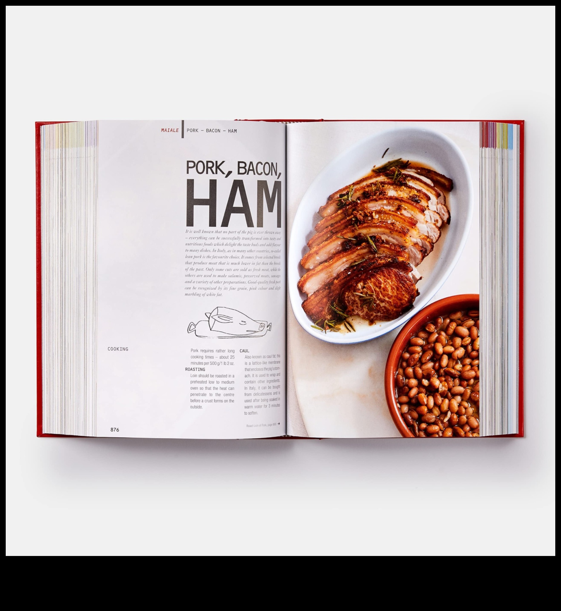 الملعقة الفضية: دليل الطهي لتغذية المسنين: كتاب طبخ لذيذ ومغذي لكبار السن 3 الملعقة الفضية: دليل الطهي لتغذية الشيخوخة