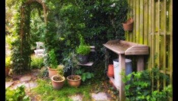 زوايا الحديقة: تصميم الهروب الحميم في الهواء الطلق