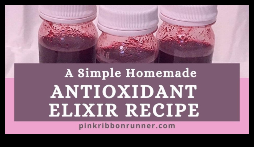 إكسير مضاد للأكسدة: صياغة نمط حياة أكثر صحة بشكل طبيعي