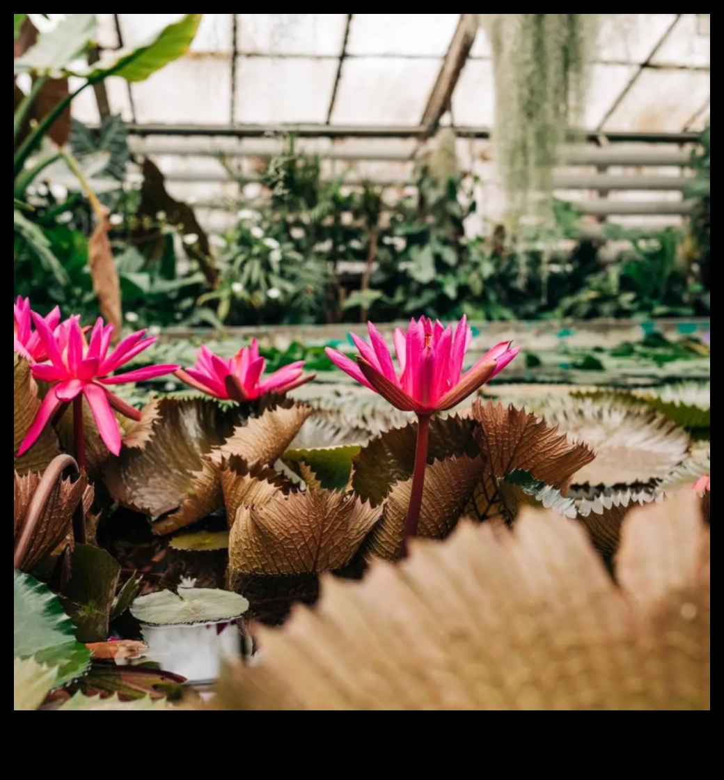 تألق الزهرة: نصائح مثبتة لملاذ حديقة خصبة