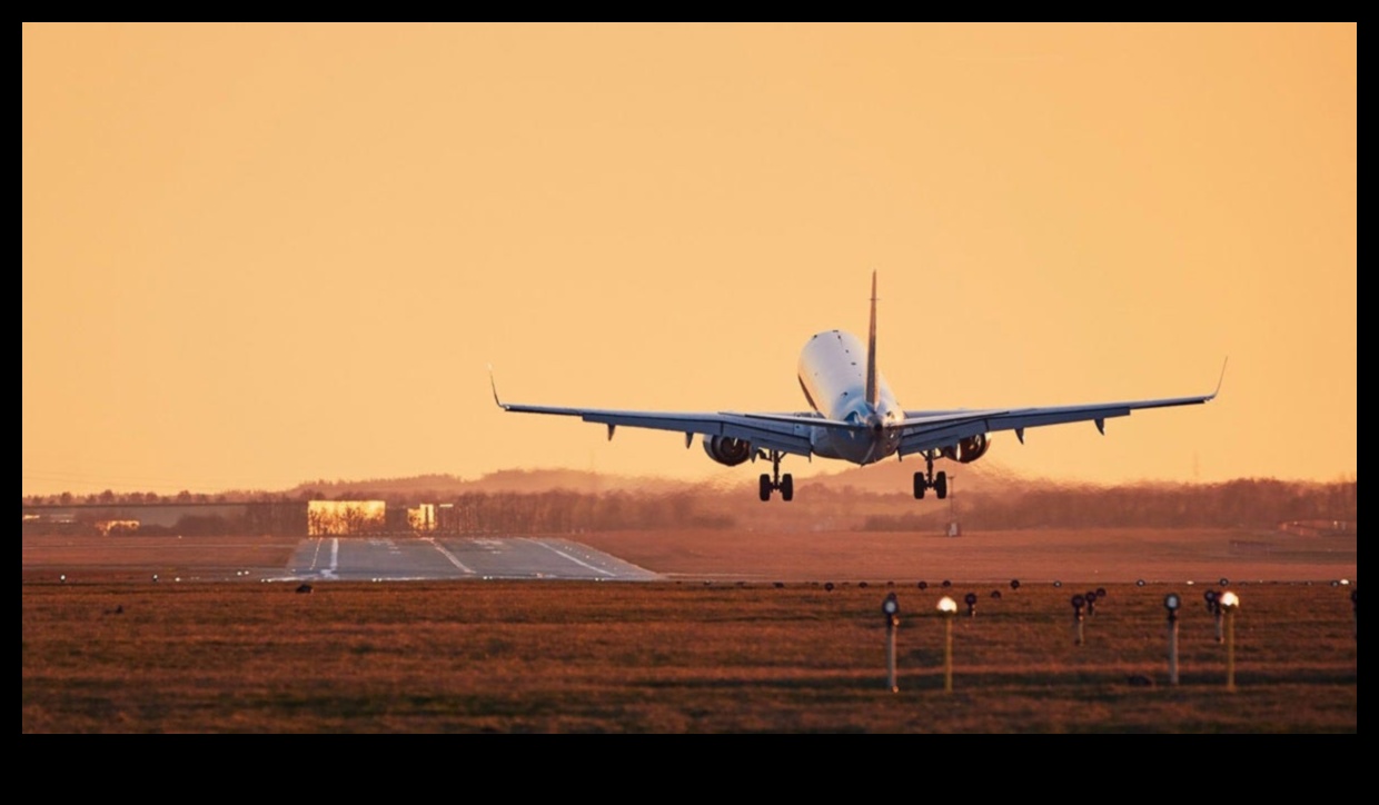 دليل الرحالة العالمي: فتح نصائح السفر النهائية