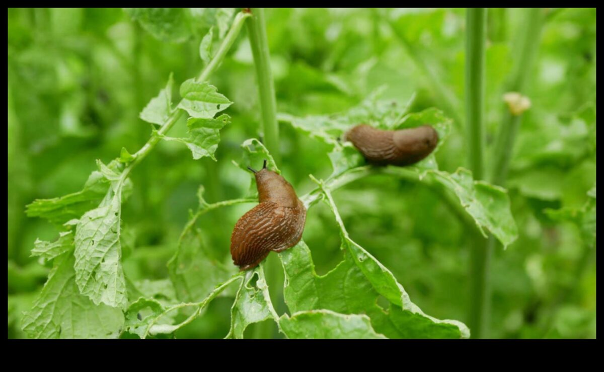 الخضر في خطر؟ إتقان فن الدفاع عن آفات الحديقة