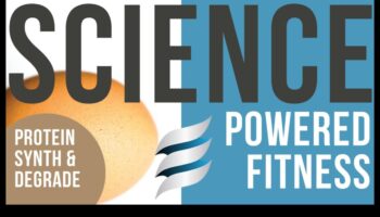 لغز البروتين: إطلاق نمو العضلات في التغذية الرياضية