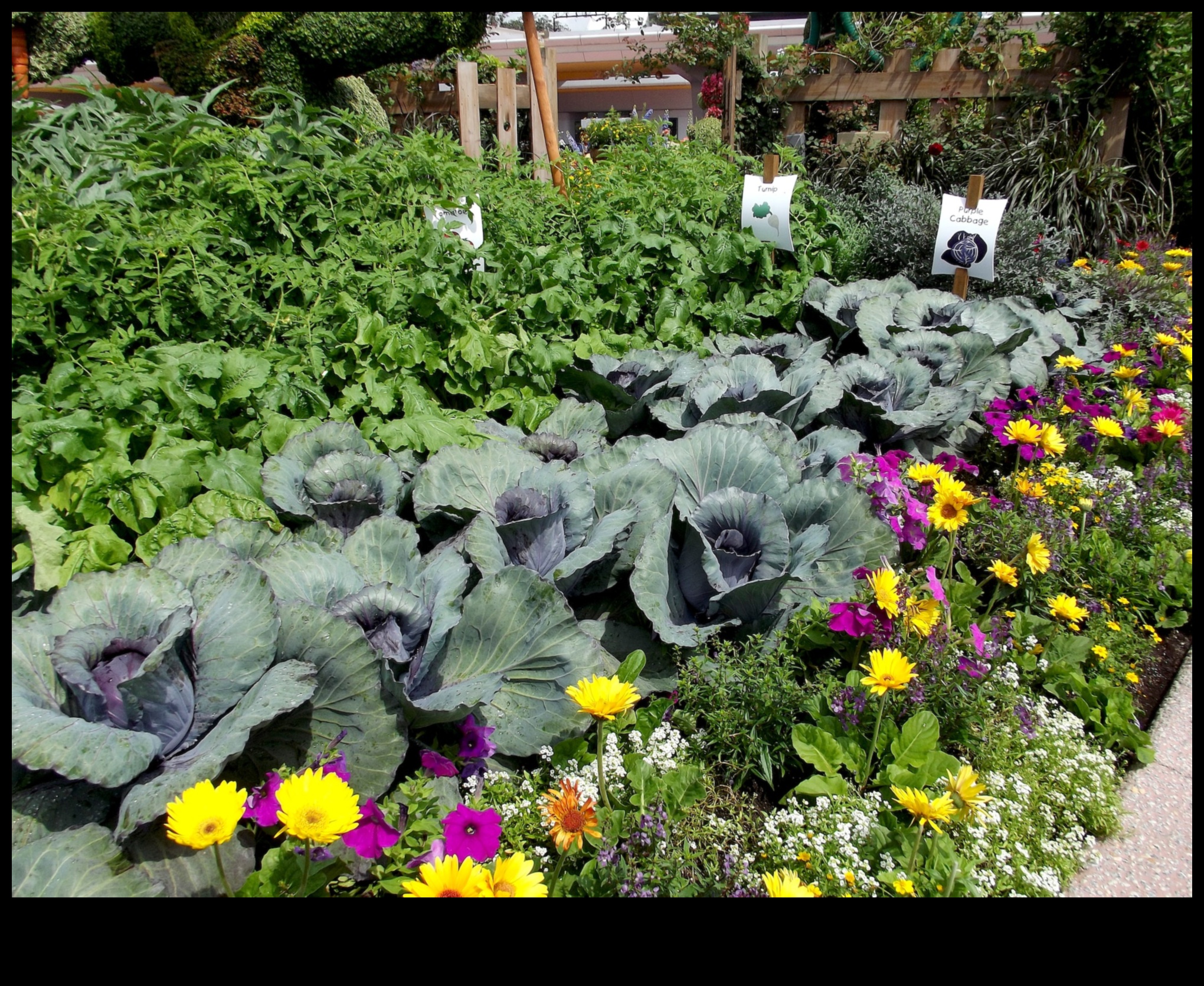 زرع وجني: دليل لحدائق رفيقة ازدهار