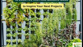 الوصول إلى آفاق جديدة: عجائب البستنة العمودية