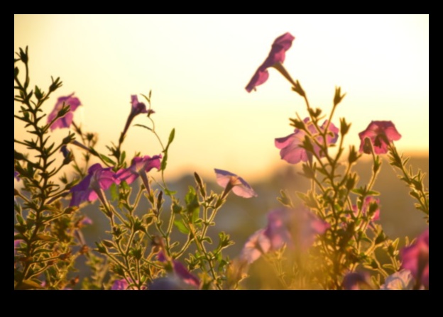 الفن في بلوم: صياغة تحفة الهواء الطلق الخاصة بك