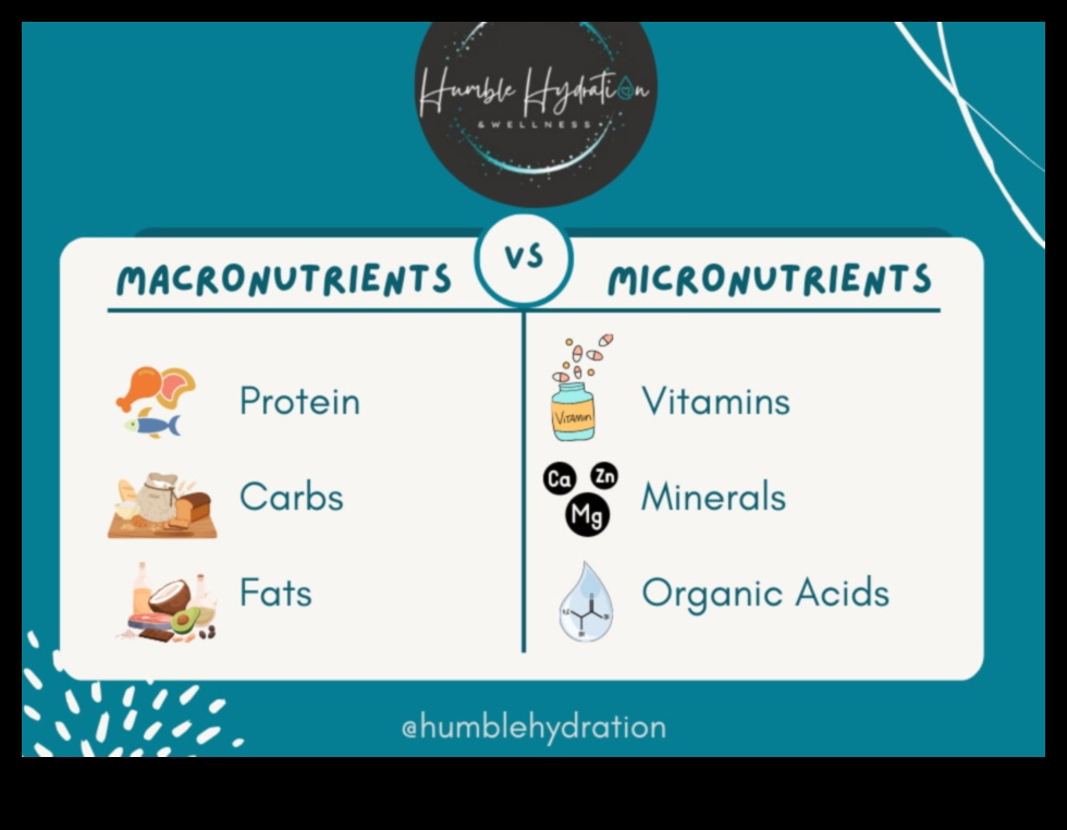 العافية في كل قضمة: سحر المغذيات الكبيرة