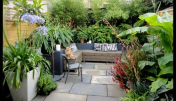 Garden Oasis: ارفع مساحتك بأثاث أنيق