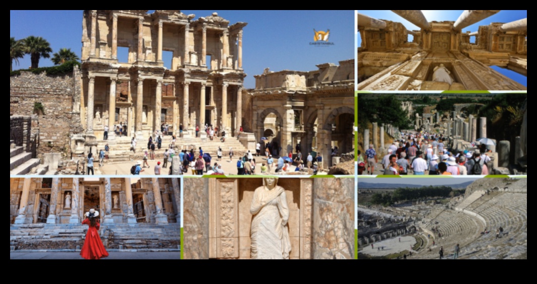 همسات الحكمة: أصداء من جدران المواقع الثقافية