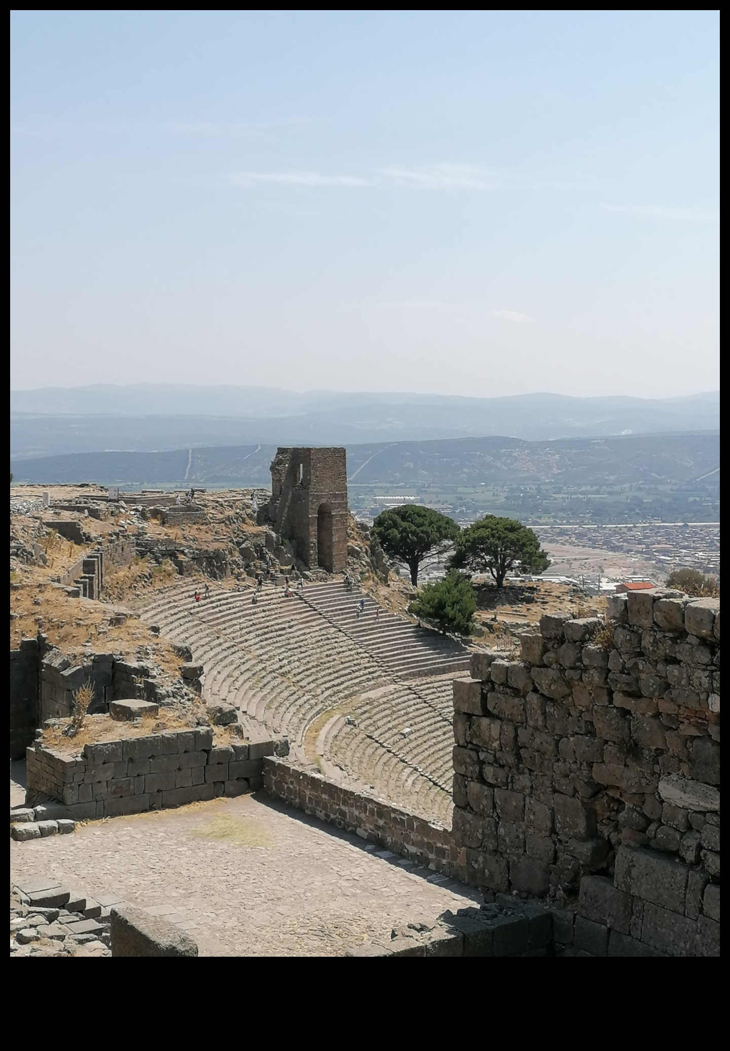 همسات الحكمة: أصداء من جدران المواقع الثقافية