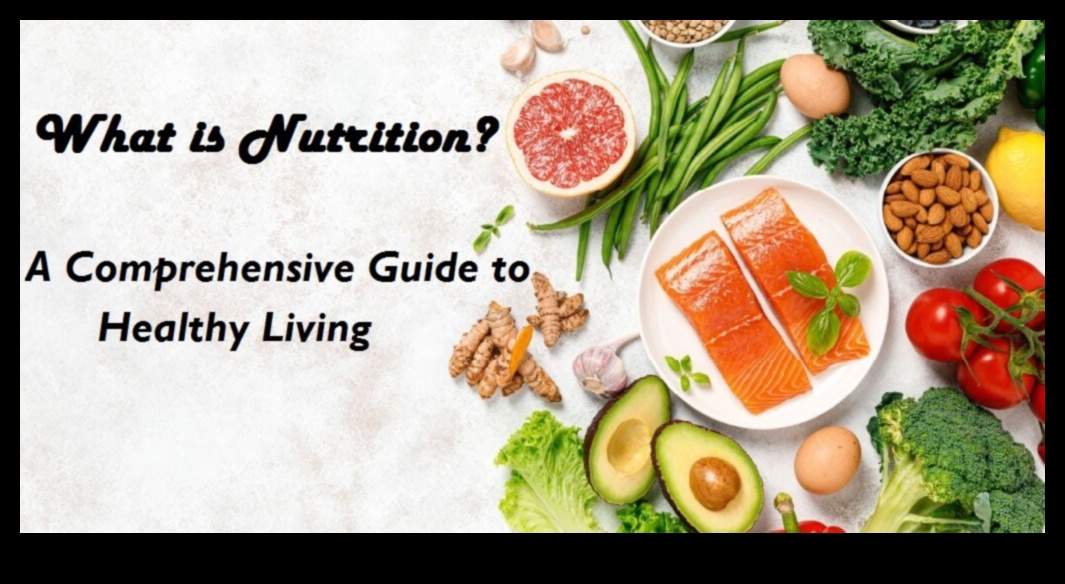 رمز المغذيات: كشف الأسرار في الكيمياء الحيوية الغذائية