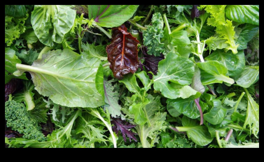 من الجينات إلى الخضر: فهم مسارات الكيمياء الحيوية الغذائية