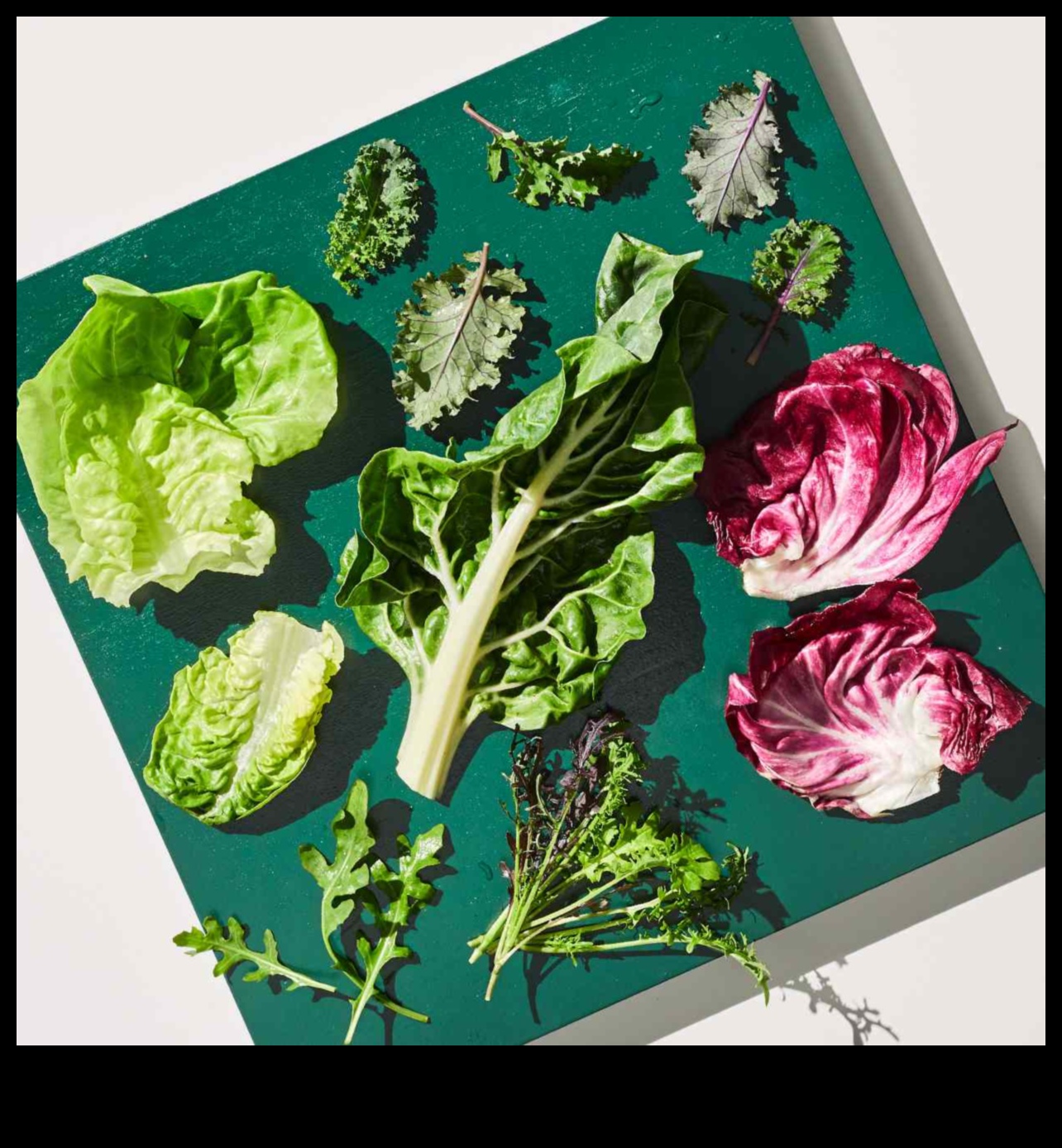 من الجينات إلى الخضر: فهم مسارات الكيمياء الحيوية الغذائية