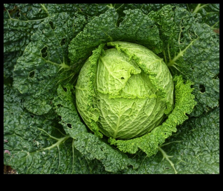 من الجينات إلى الخضر: فهم مسارات الكيمياء الحيوية الغذائية