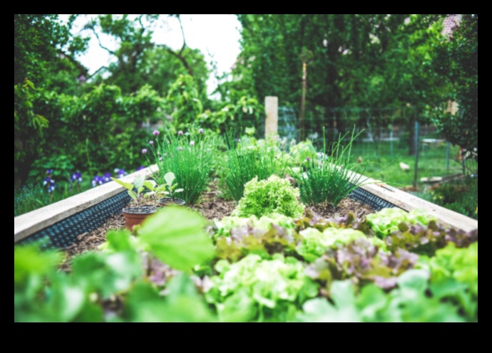 زراعة الحياة: مخطط للحدائق العضوية المزدهرة