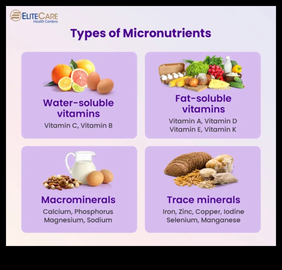 سحر المغذيات الدقيقة: عجائب صغيرة لصحة كبيرة