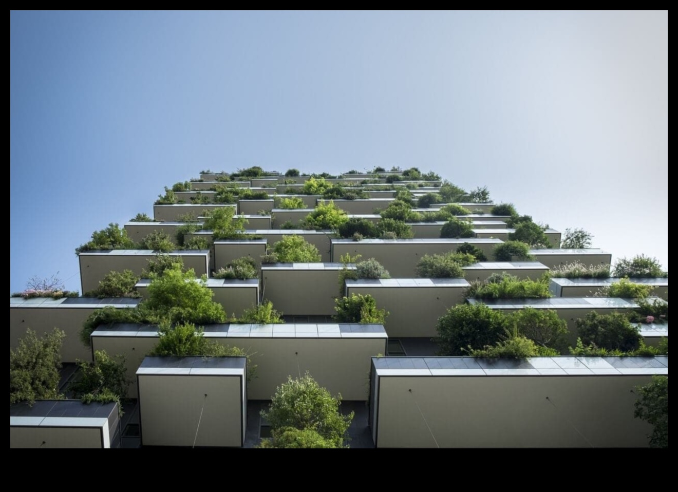 الخضر الخرسانية: كشف النقاب عن سحر البستنة الحضرية