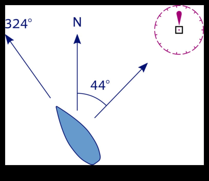 الدورات التدريبية المرسومة دليل للتنقل بدقة 1 الدورات التدريبية المخططة: التنقل بدقة