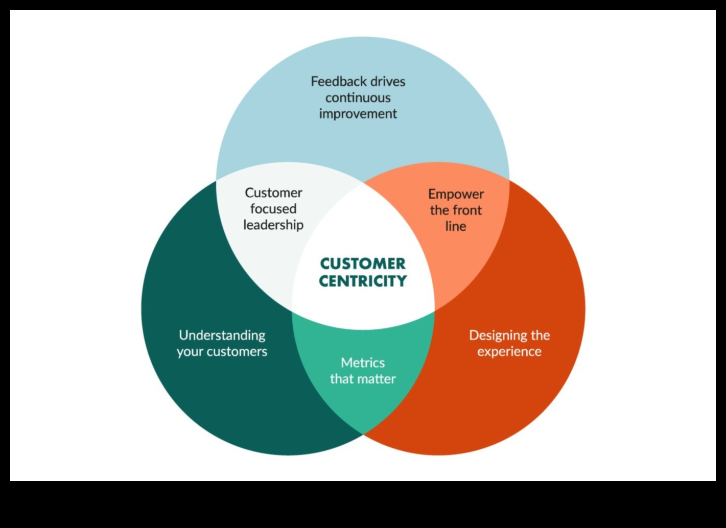 ريادة الأعمال التي تركز على العملاء: بناء قاعدة مخلصة
