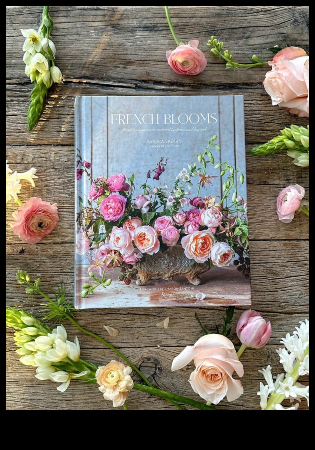 تزهر وما بعدها: مغامرات ورشة عمل الحديقة الإبداعية